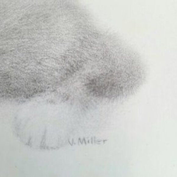 Signed by Virginia Miller framed art. Kitten portrait. - Picture 4 of 5